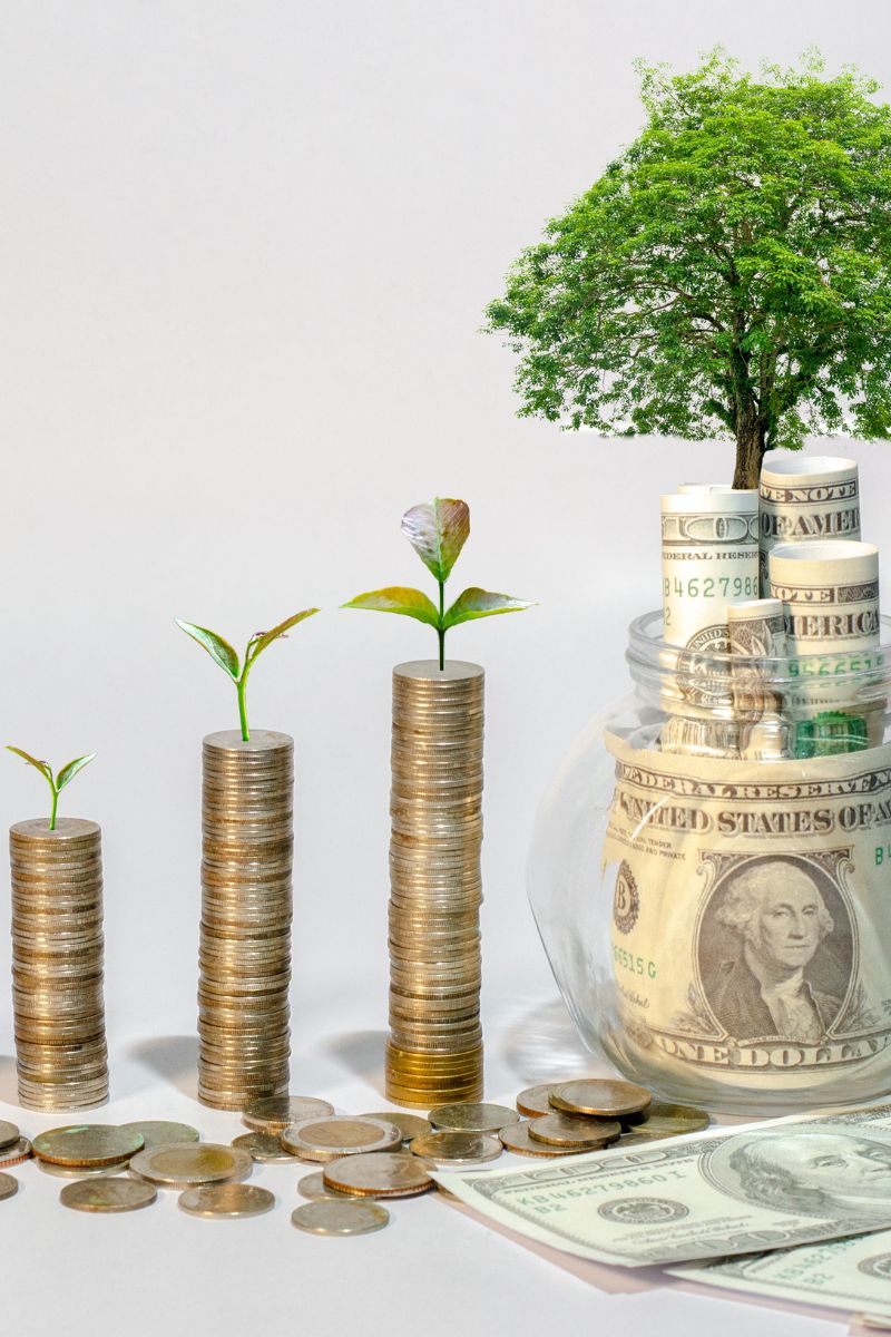 Organización Financiera: Aprende métodos clave para ordenar y controlar tus finanzas personales